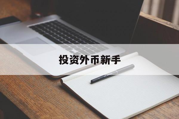 投资外币新手(投资外币新手怎么操作)